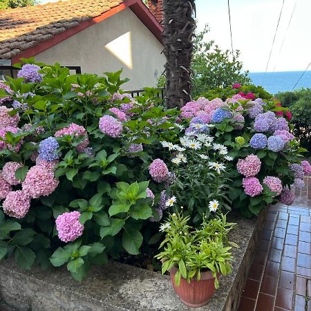 Mali Stan Opatija 아파트 외부 사진