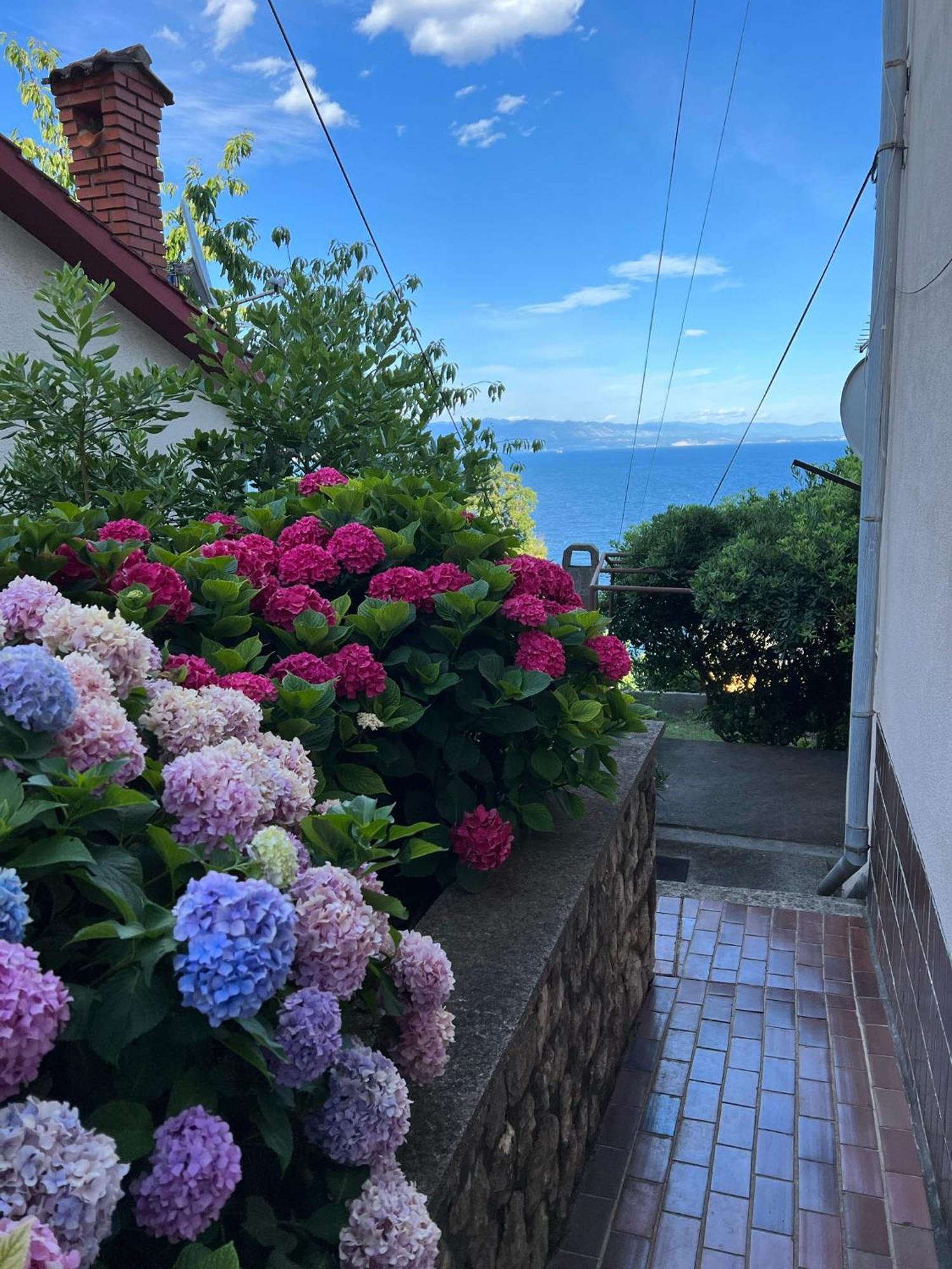 Mali Stan Opatija 아파트 외부 사진